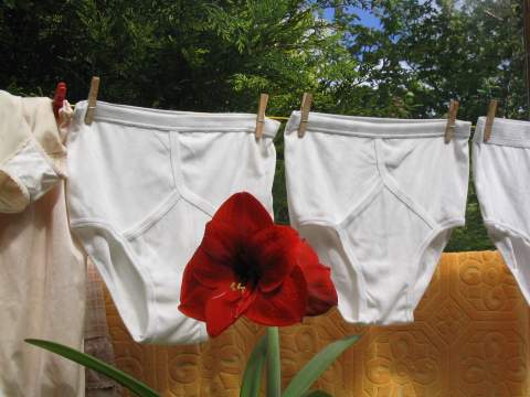 white underpants