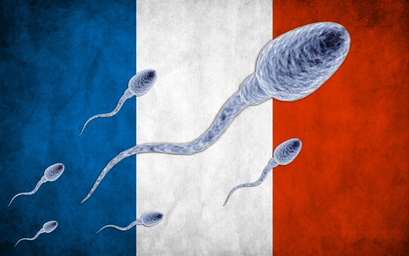 France sperm